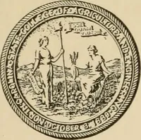 An illustration from Cotton and other vegetable fibres : their production and utilisation (1917)