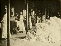 An illustration from Cotton and other vegetable fibres : their production and utilisation (1917)
