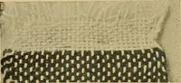 An illustration from Cottons, linens, woollens, silks. How to buy and judge materials. A useful guide with facts for warehouse, shop and home (1914)