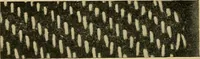 An illustration from Cottons, linens, woollens, silks. How to buy and judge materials. A useful guide with facts for warehouse, shop and home (1914)