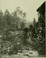 An illustration from The country church in colonial counties as illustrated by Addison County, Vt., Tompkins County, N.Y., and Warren County, N.Y (1922)