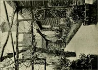 An illustration from Country cottages and week-end homes (1907)