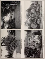 An illustration from Country homes and gardens of moderate cost; (1907)