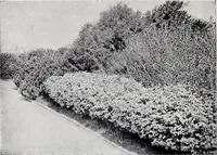 An illustration from Country homes and gardens of moderate cost; (1907)