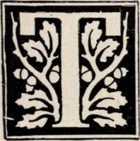 Picture 253 of 383 from The country house; a practical manual of the planning and construction of the American country home and its surroundings (1905), leaf 230