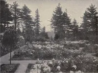 Picture 335 of 383 from The country house; a practical manual of the planning and construction of the American country home and its surroundings (1905), leaf 299