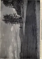 Picture 16 of 383 from The country house; a practical manual of the planning and construction of the American country home and its surroundings (1905), leaf 32