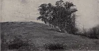 An illustration from The country house; a practical manual of the planning and construction of the American country home and its surroundings (1905)