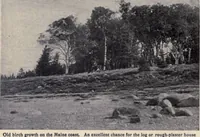 Picture 28 of 383 from The country house; a practical manual of the planning and construction of the American country home and its surroundings (1905), leaf 45