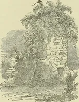 An illustration from The county seats of Shropshire : a series of descriptive sketches, with historical and antiquarian notes, of the principal family mansions (1891)