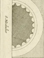 Picture 33 of 280 from Cours d'architecture : qui comprend Les ordres de Vignole, avec des commentaires, les figures & les descriptions de ses plus beaux bâtimens, & de ceux de Michel-Ange, des instructions et des preceptes, & plusieurs nouveaux desseins concernans la distribution & la décoration, la matière & la construction des édifices, la maçonnerie, la charpenterie, la couverture, la serrurerie, la menuiserie, le jardinage, & géneralement tout ce qui regarde l'art de bastir (1738), leaf 126