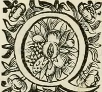 An illustration from Cours d'architecture enseigné dans l'Academie royale d'architecture : premiere[-cinquième] partie ... (1675)