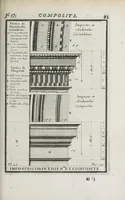Picture 13 of 55 from Cours d'architecture qui comprend les ordres de Vignole : avec des commentaires, les figures & descriptions de ses plus beaux bâtimens, & de ceux de Michel-Ange ... & tout ce qui regarde l'art de bâtir : avec une ample explication par ordre alphabetique de tous les termes (1691), leaf 197