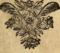 An illustration from Cours de peinture par principes (1708)