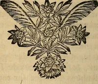 An illustration from Cours de peinture par principes (1708)