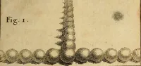 An illustration from Cours de peinture par principes (1708)
