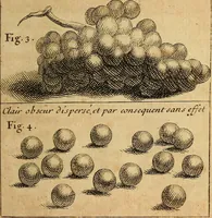 An illustration from Cours de peinture par principes (1708)