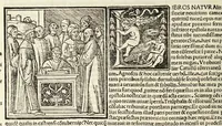 An illustration from C. Plinij Secundi Veronensis Historiae naturalis libri xxxvij (1513)