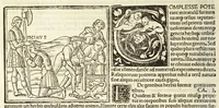 Picture 12 of 22 from C. Plinij Secundi Veronensis Historiae naturalis libri xxxvij (1513), leaf 296