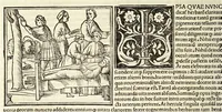 Picture 13 of 22 from C. Plinij Secundi Veronensis Historiae naturalis libri xxxvij (1513), leaf 328