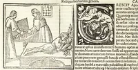 Picture 17 of 22 from C. Plinij Secundi Veronensis Historiae naturalis libri xxxvij (1513), leaf 348