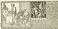 An illustration from C. Plinij Secundi Veronensis Historiae naturalis libri xxxvij (1513)