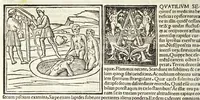 Picture 20 of 22 from C. Plinij Secundi Veronensis Historiae naturalis libri xxxvij (1513), leaf 392