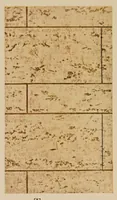 An illustration from Craftex : a permanent wall finish applied with a brush (1920)
