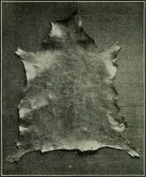 Picture 91 of 117 from The craftsman (1901), leaf 283