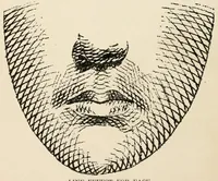 An illustration from Crayon portraiture; complete instructions for making crayon portraits on crayon paper and on platinum, silver, and bromide enlargements, also directions for the use of transparent liquid water colors and for making French crystals (1892)