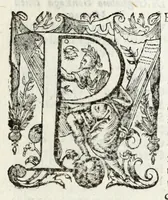 An illustration from Cremona fedelissima citta, et nobilissima colonia de Romani : rappresentata in disegno col suo contato et illustrata d'vna breue historia delle cose piu notabili appartenenti ad essa, et dei ritratti naturali de duchi et duchesse di Milano, e compendio delle lor vite (1645)
