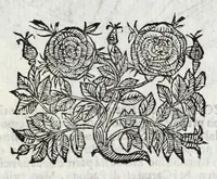 Picture 14 of 15 from Cremona fedelissima citta, et nobilissima colonia de Romani : rappresentata in disegno col suo contato et illustrata d'vna breue historia delle cose piu notabili appartenenti ad essa, et dei ritratti naturali de duchi et duchesse di Milano, e compendio delle lor vite (1645), leaf 277