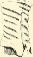 An illustration from Cretan pictographs and prae-Phoenician script. With an account of a sepulchral deposit at Hagios Onuphrios near Phaestos in its relation primitive Cretan and Aegean culture (1895)