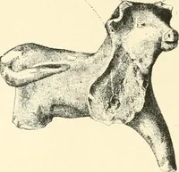 An illustration from Cretan pictographs and prae-Phoenician script. With an account of a sepulchral deposit at Hagios Onuphrios near Phaestos in its relation primitive Cretan and Aegean culture (1895)