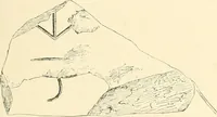 An illustration from Cretan pictographs and prae-Phoenician script. With an account of a sepulchral deposit at Hagios Onuphrios near Phaestos in its relation primitive Cretan and Aegean culture (1895)