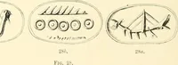 An illustration from Cretan pictographs and prae-Phoenician script. With an account of a sepulchral deposit at Hagios Onuphrios near Phaestos in its relation primitive Cretan and Aegean culture (1895)