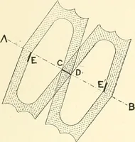 An illustration from Cretan pictographs and prae-Phoenician script. With an account of a sepulchral deposit at Hagios Onuphrios near Phaestos in its relation primitive Cretan and Aegean culture (1895)