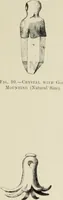 Picture 57 of 83 from Cretan pictographs and prae-Phoenician script : with an account of a sepulchral deposit at Hagios Onuphrios near Phaestos in its relation to primitive Cretan and Aegean culture (1895), leaf 122