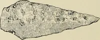An illustration from Cretan pictographs and prae-Phoenician script : with an account of a sepulchral deposit at Hagios Onuphrios near Phaestos in its relation to primitive Cretan and Aegean culture (1895)
