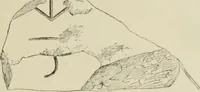 An illustration from Cretan pictographs and prae-Phoenician script : with an account of a sepulchral deposit at Hagios Onuphrios near Phaestos in its relation to primitive Cretan and Aegean culture (1895)