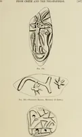 Picture 9 of 83 from Cretan pictographs and prae-Phoenician script : with an account of a sepulchral deposit at Hagios Onuphrios near Phaestos in its relation to primitive Cretan and Aegean culture (1895), leaf 30