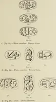 Picture 12 of 83 from Cretan pictographs and prae-Phoenician script : with an account of a sepulchral deposit at Hagios Onuphrios near Phaestos in its relation to primitive Cretan and Aegean culture (1895), leaf 34