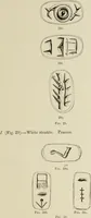 An illustration from Cretan pictographs and prae-Phoenician script : with an account of a sepulchral deposit at Hagios Onuphrios near Phaestos in its relation to primitive Cretan and Aegean culture (1895)