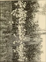 An illustration from Art and criticism : monographs and studies (1892)