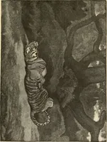 An illustration from Art and criticism : monographs and studies (1892)