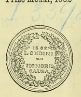 An illustration from The crochet book, seventeenth series, containing the prize medal antimacassars in raised crochet (1870)