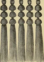 An illustration from Crochet series. No. 1-5 (1883)