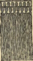 An illustration from Crochet series. No. 1-5 (1883)