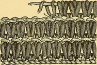 An illustration from Crochet series. No. 1-5 (1883)