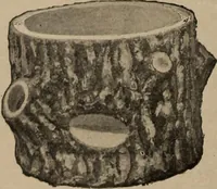 Picture 67 of 253 from Crockery & glass journal (1875), leaf 103